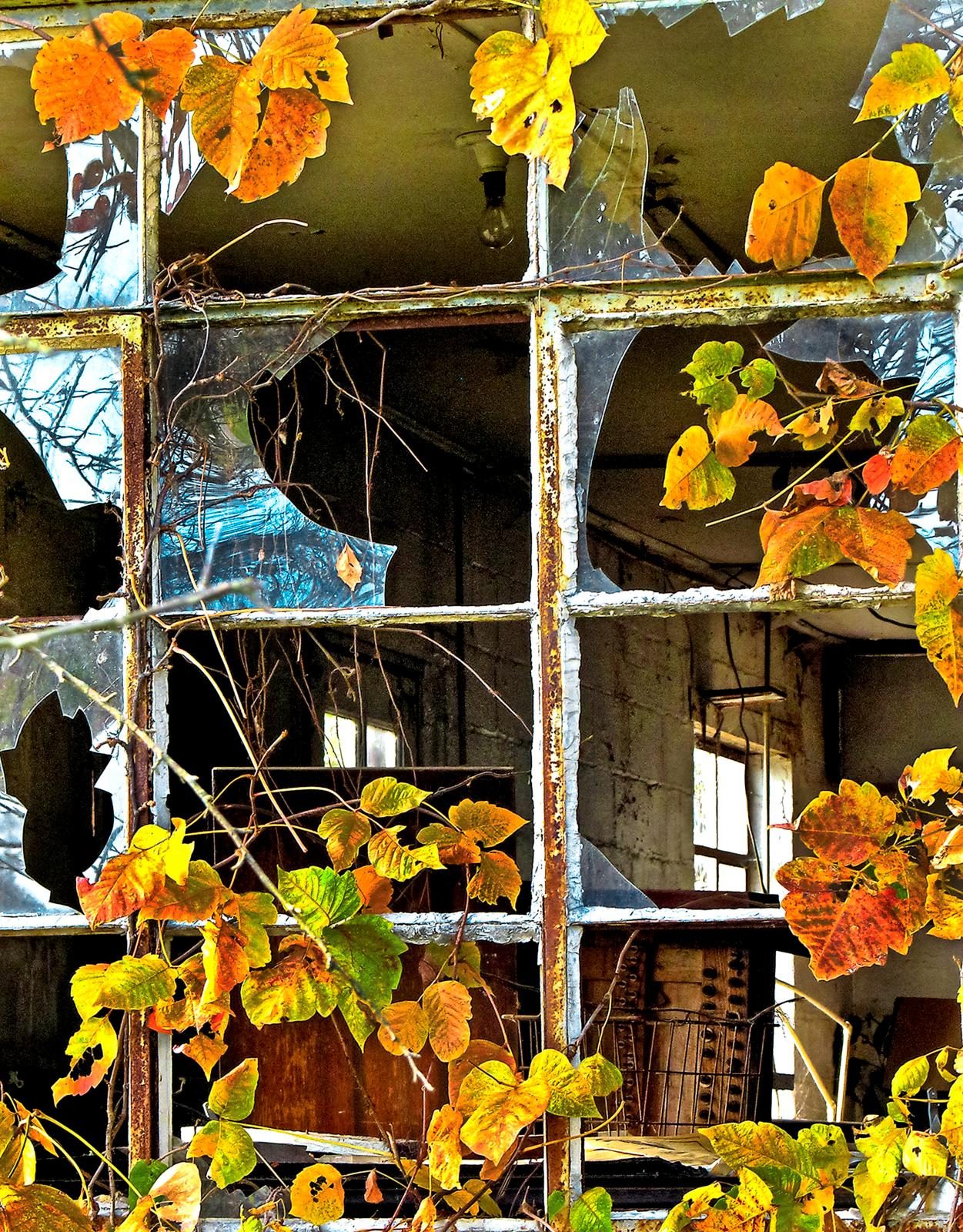 18 Proven Smartphone Tricks for Perfect Vacation Photos