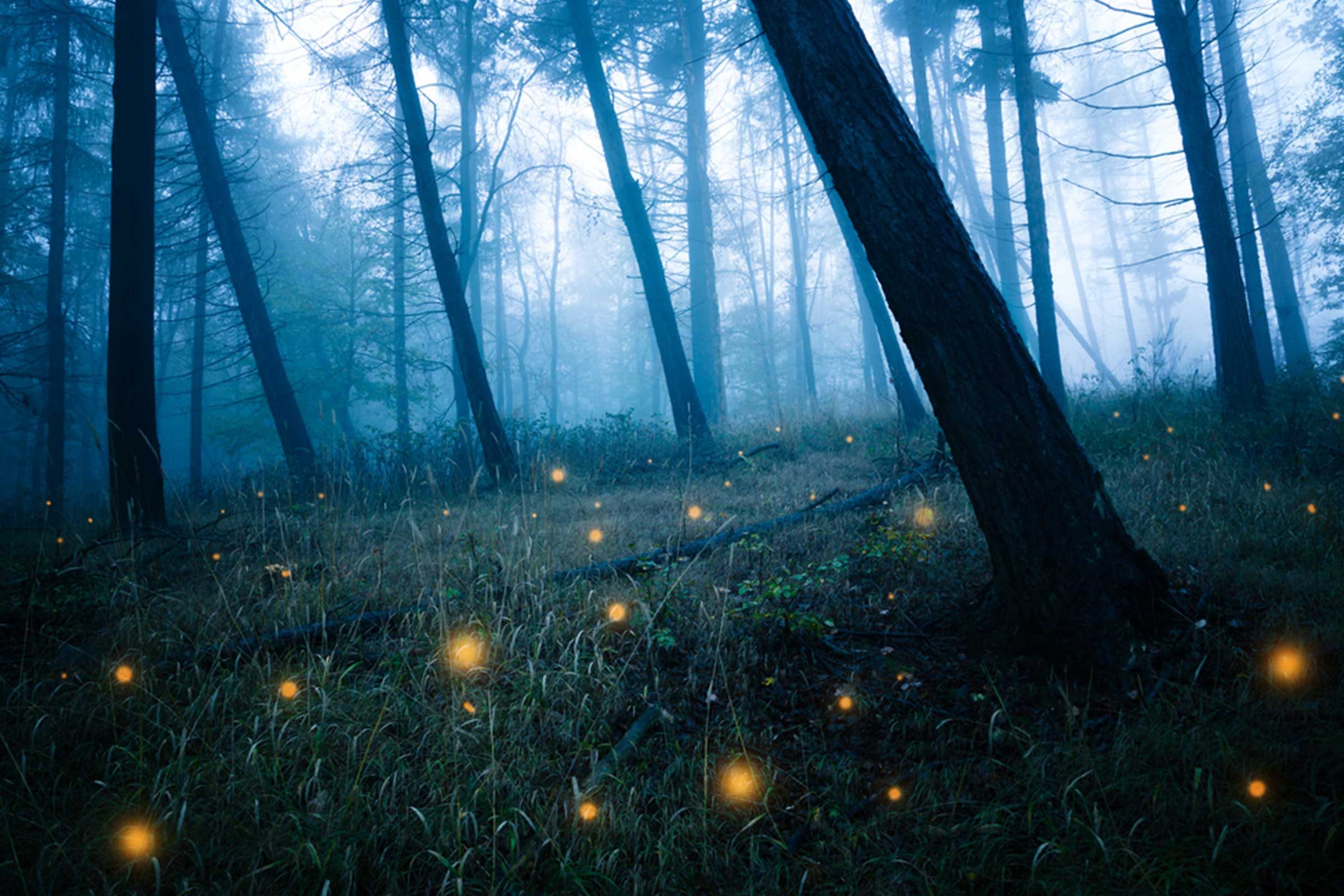 22 Must‑Do Summer Activities Before the Season Ends