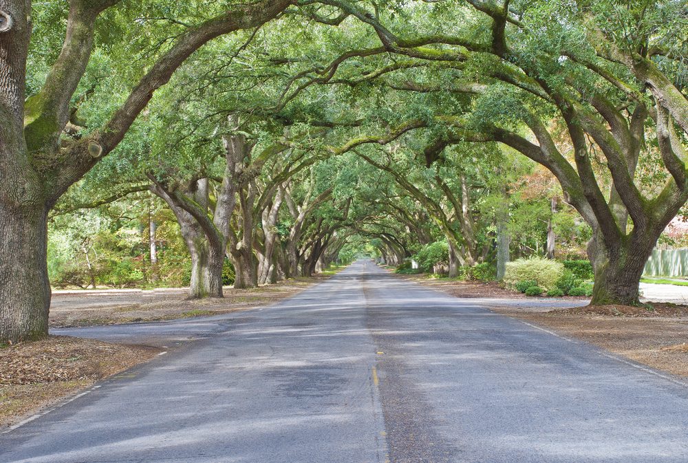 Top 15 Affordable Towns for a Comfortable Retirement