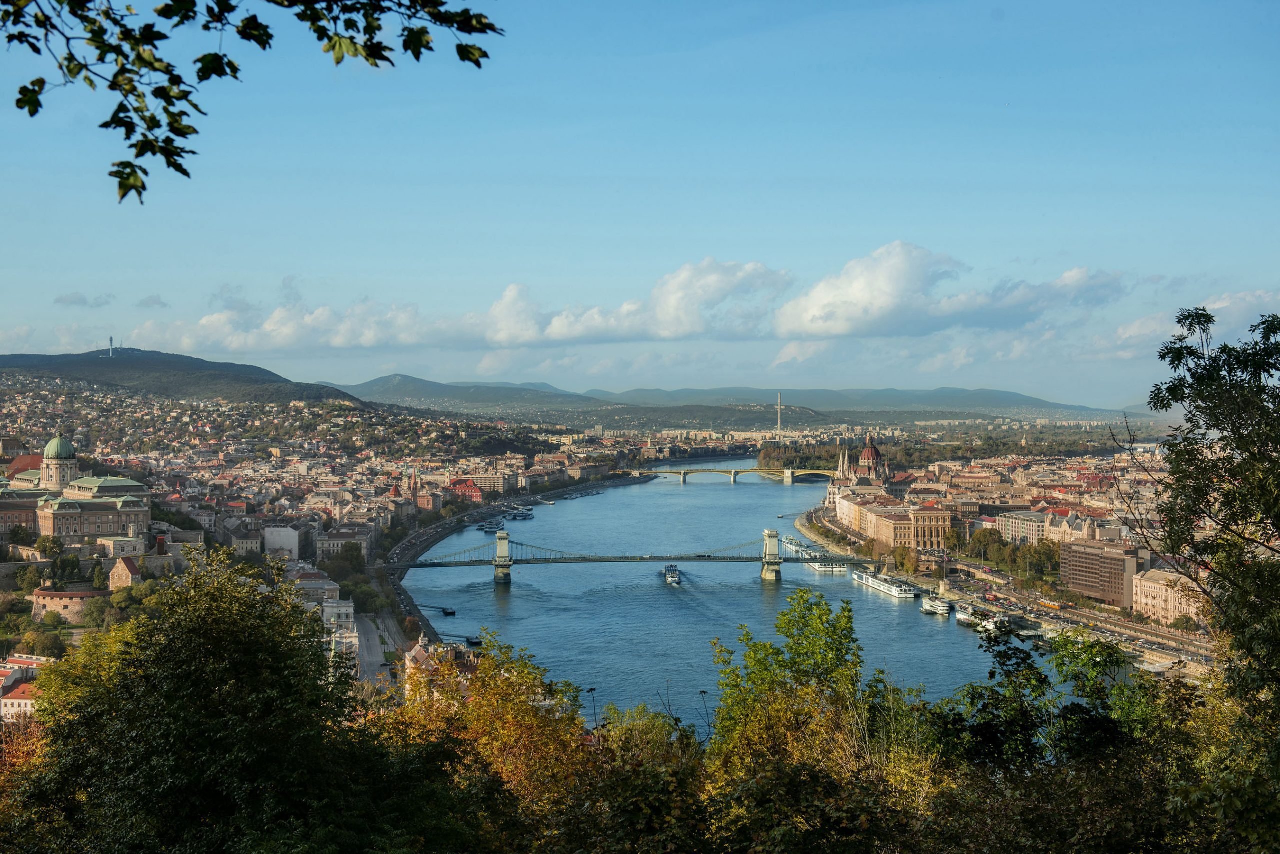 Explore the Ultimate VIP Disney Vacations You Must Experience at Least Once