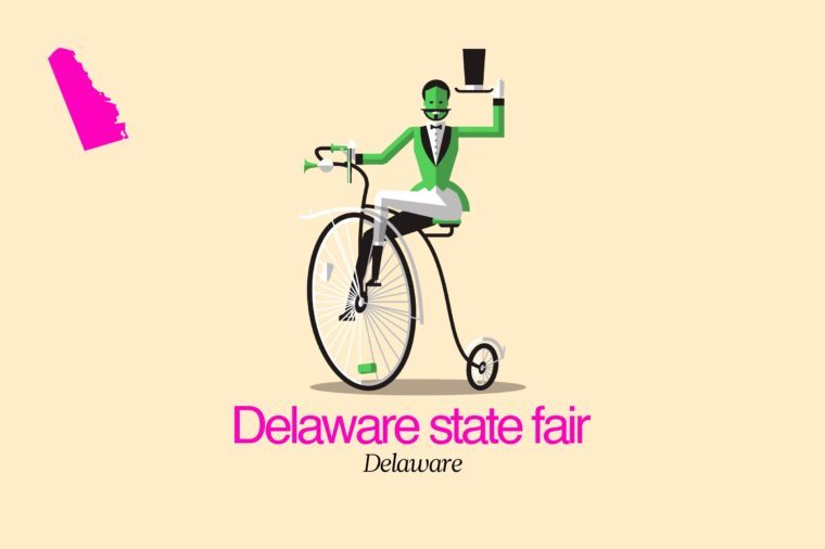 Discover the Premier State Fairs Across All 50 States