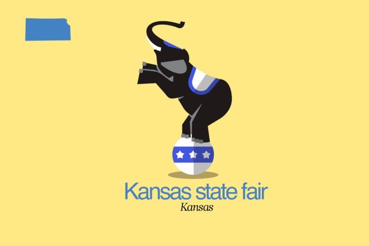Discover the Premier State Fairs Across All 50 States