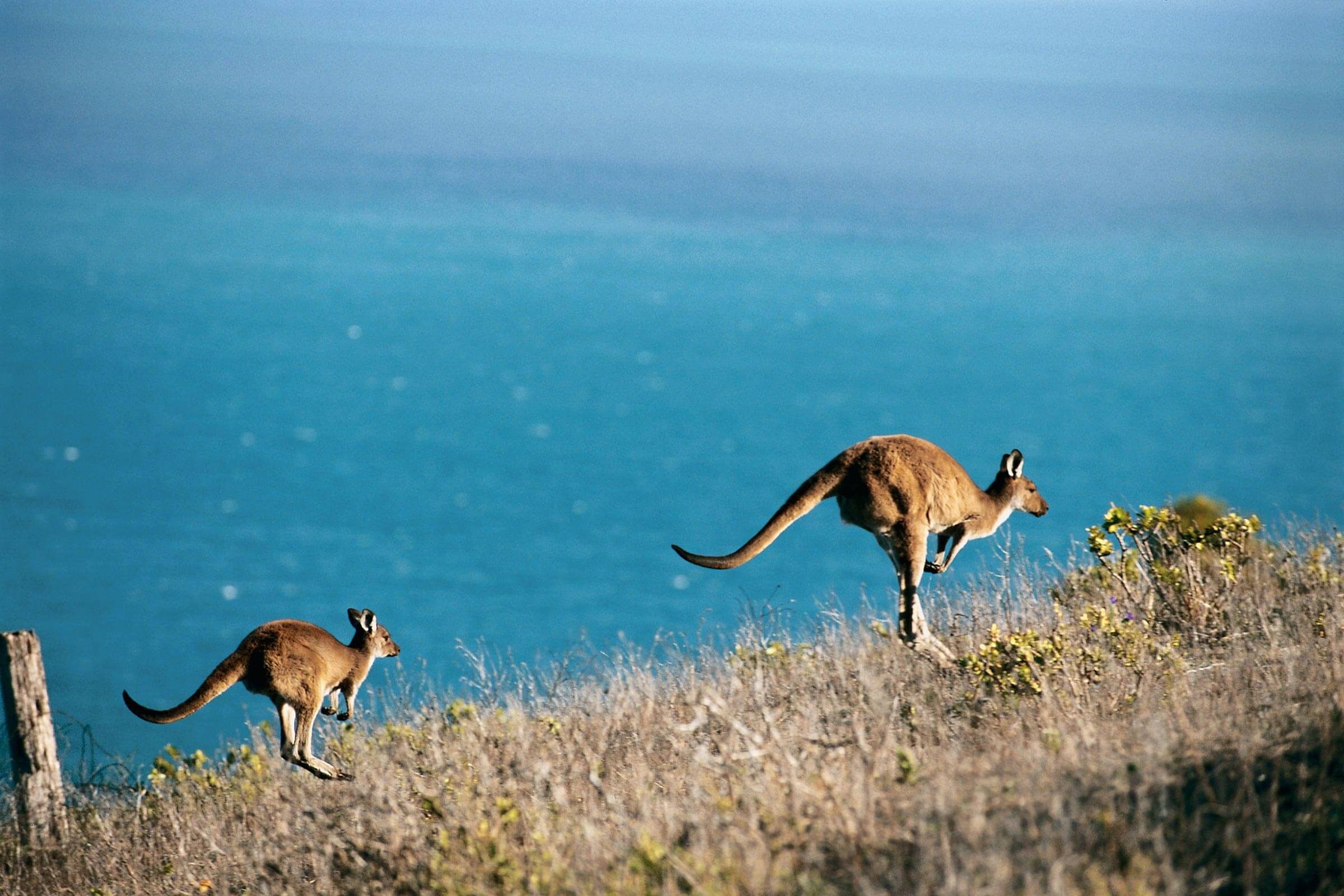 11 Must‑Visit Beaches for Your Ultimate Travel Bucket List