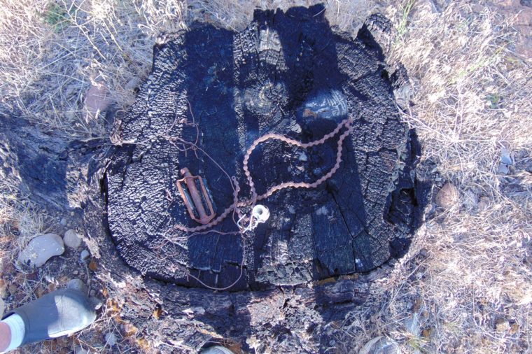 15 Unsolved Mysteries: Real Hidden Treasures Still Await Discovery