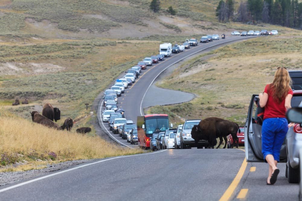 Which U.S. State Has the Most Dangerous Commute?