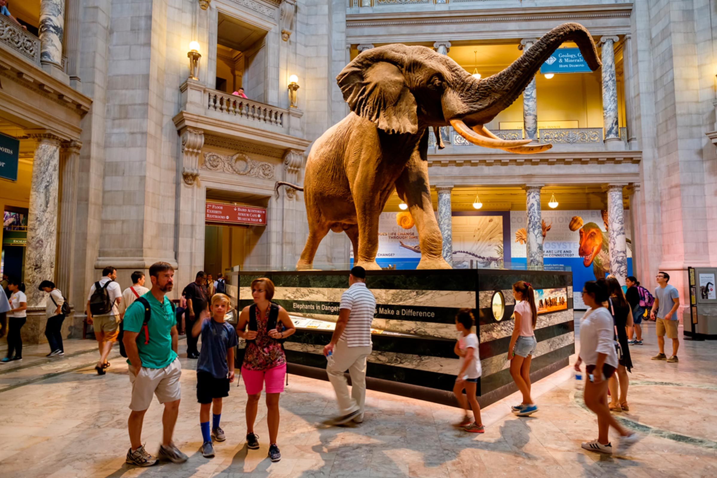 Top 20 Most Visited Museums Worldwide