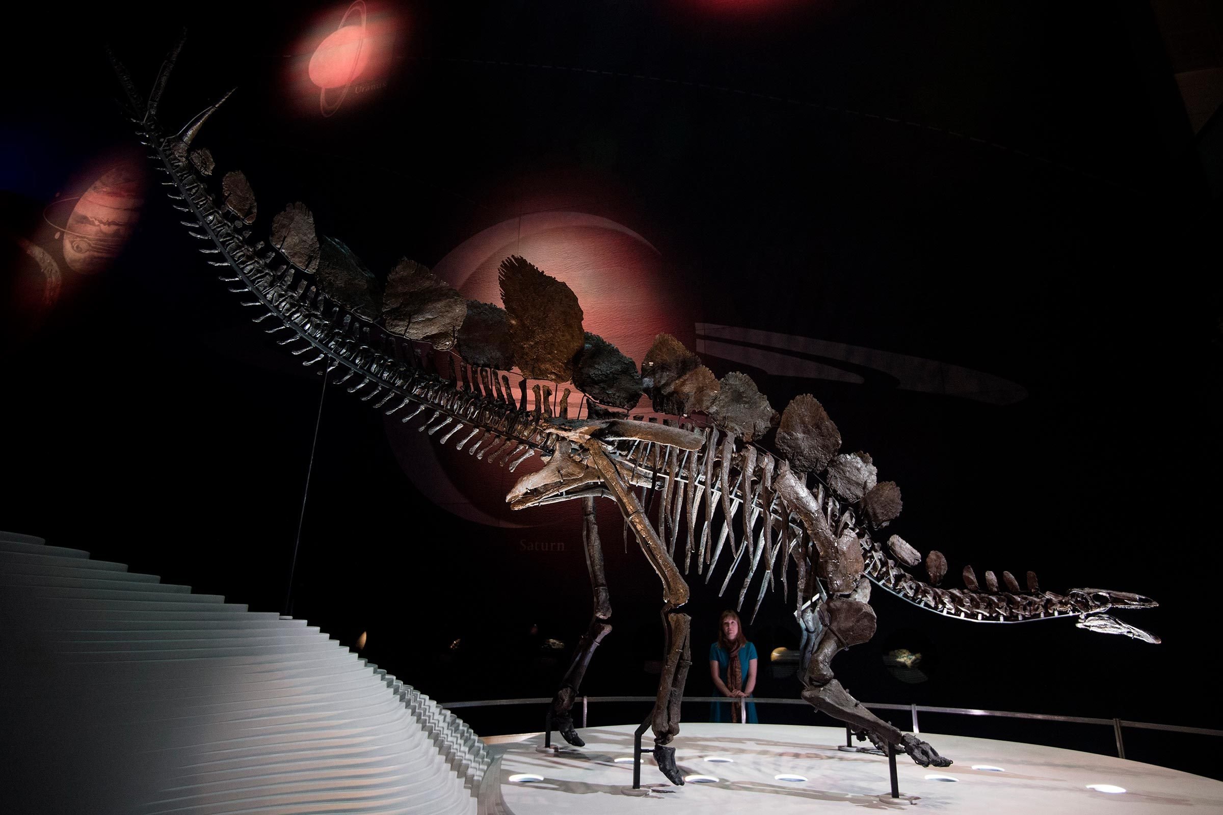 Top 12 Dinosaur Museums Worldwide