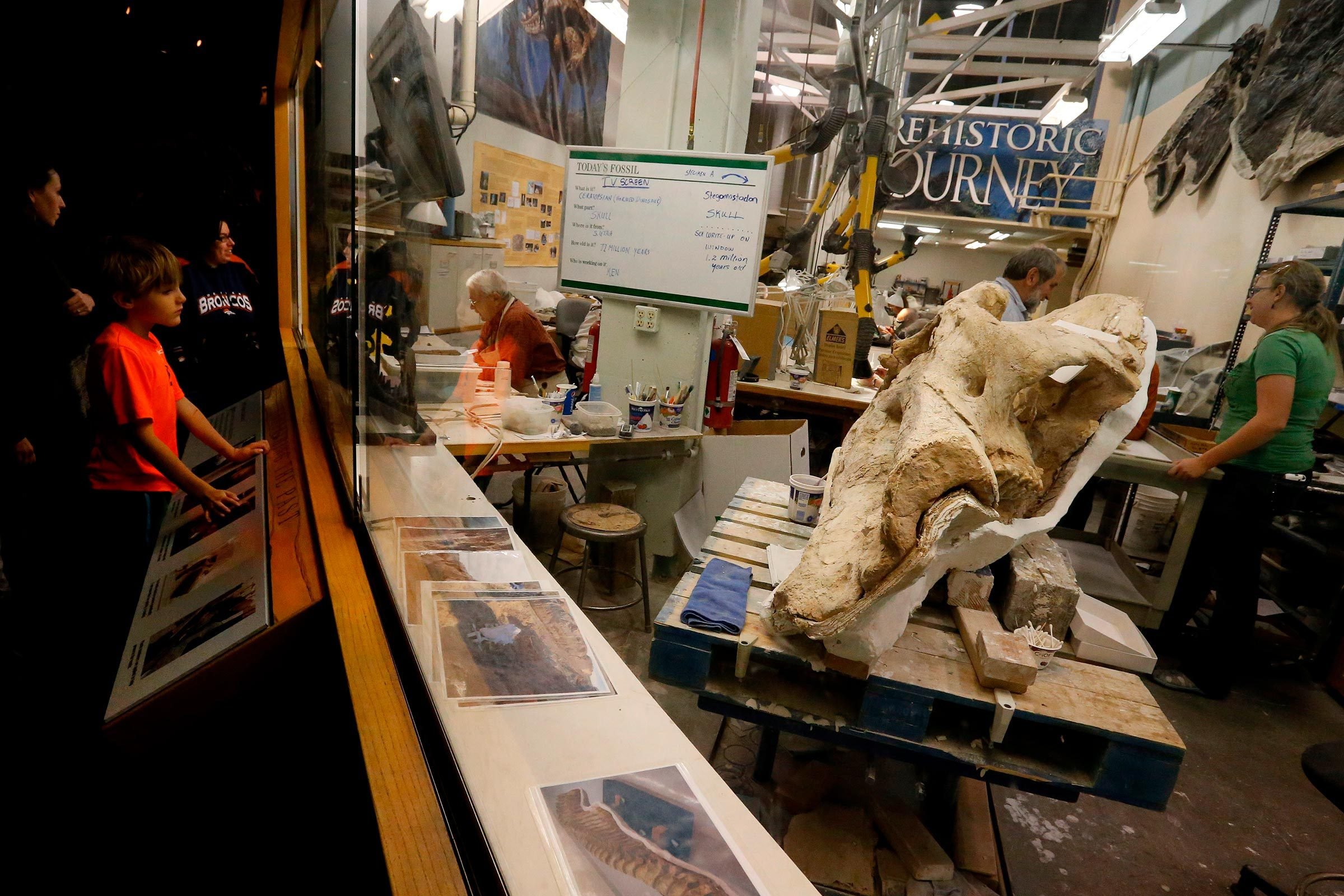 Top 12 Dinosaur Museums Worldwide