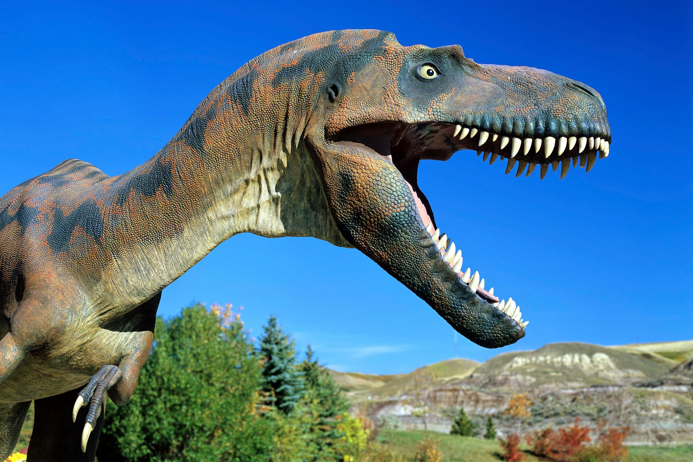Top 12 Dinosaur Museums Worldwide