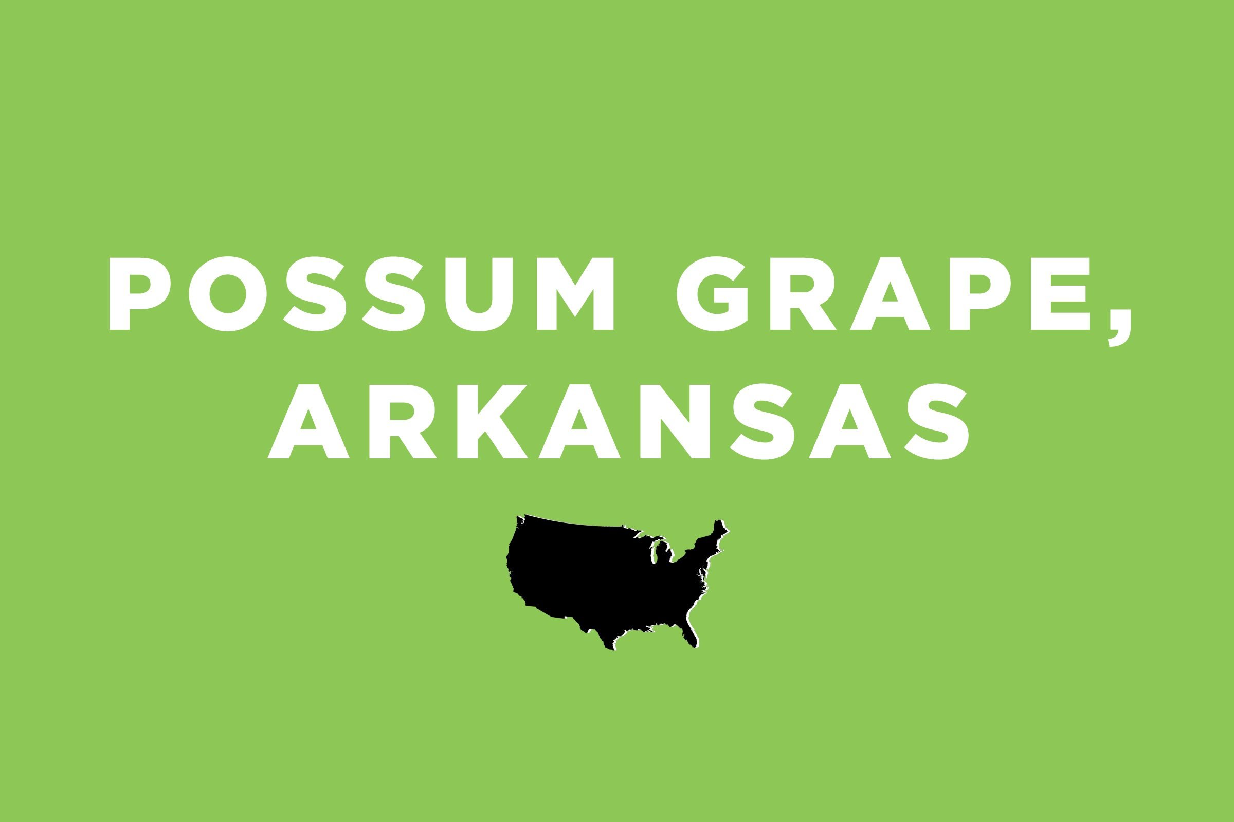 Discover 50 Hilariously Unusual Town Names Across the U.S.