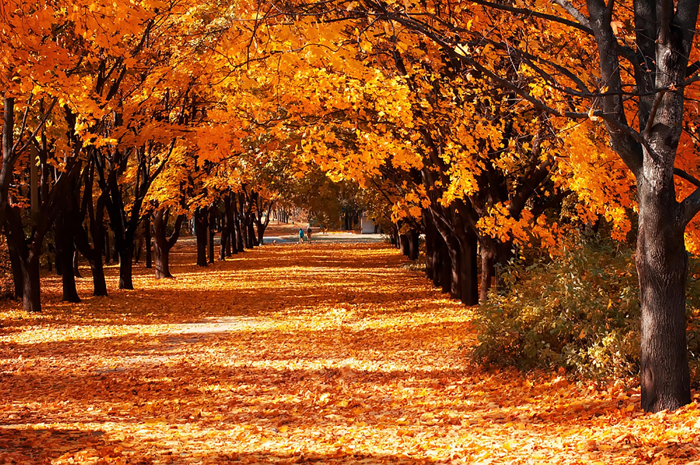 Why Autumn Is the Ideal Time for Budget-Friendly, Stress-Free Travel
