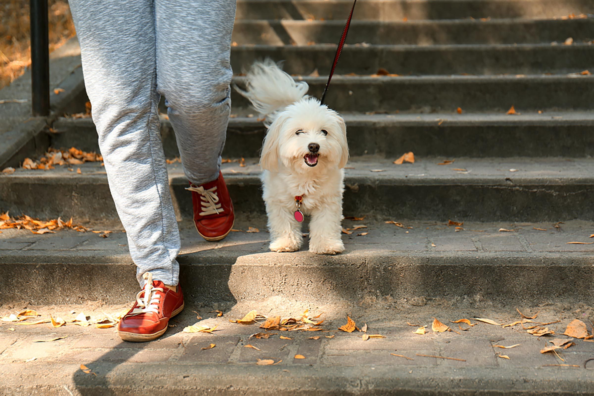 13 Essential Pre‑Vacation Checklist Items to Ensure a Stress‑Free Trip