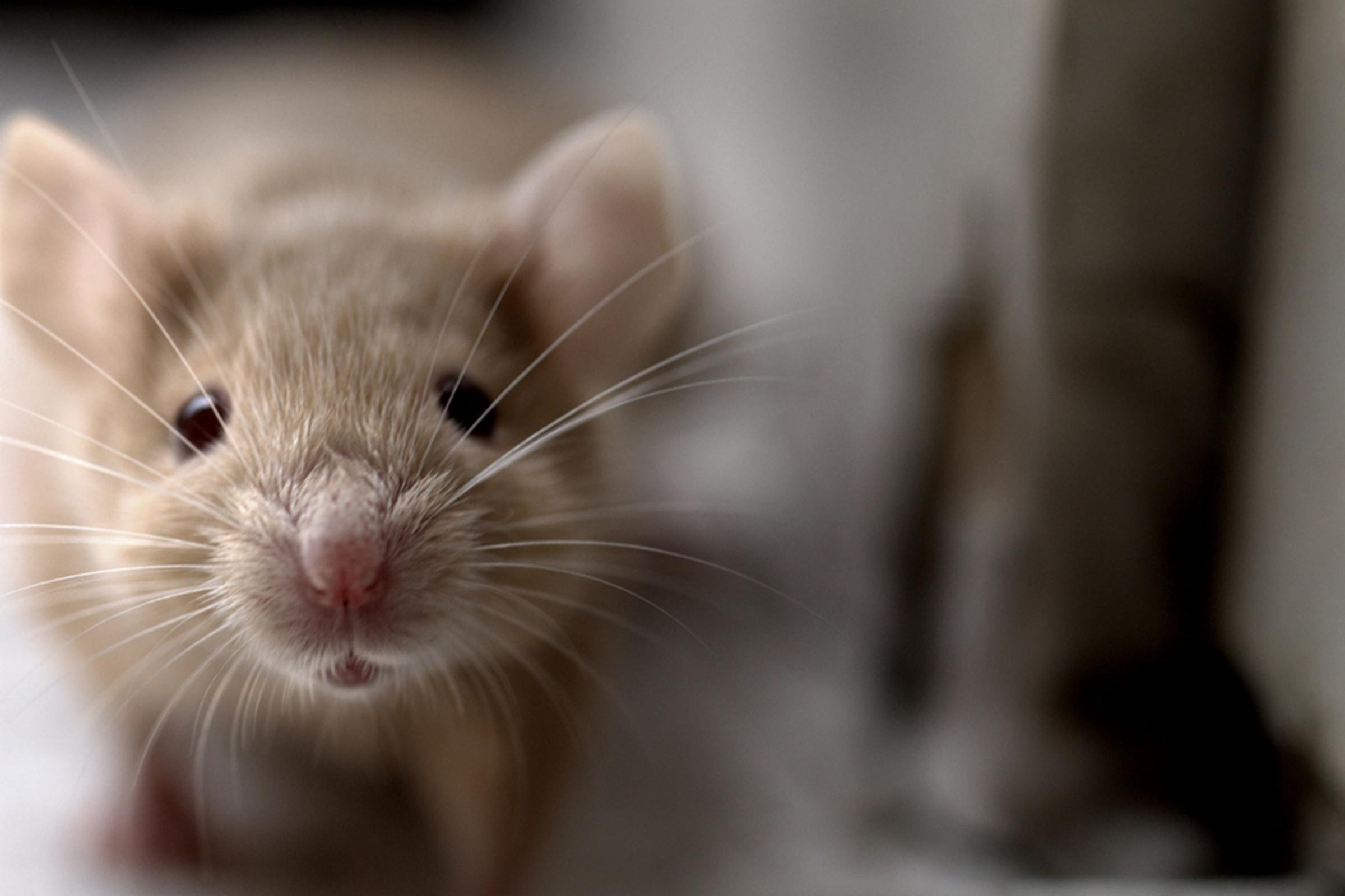 15 Unexpected Factors That Delay Flights