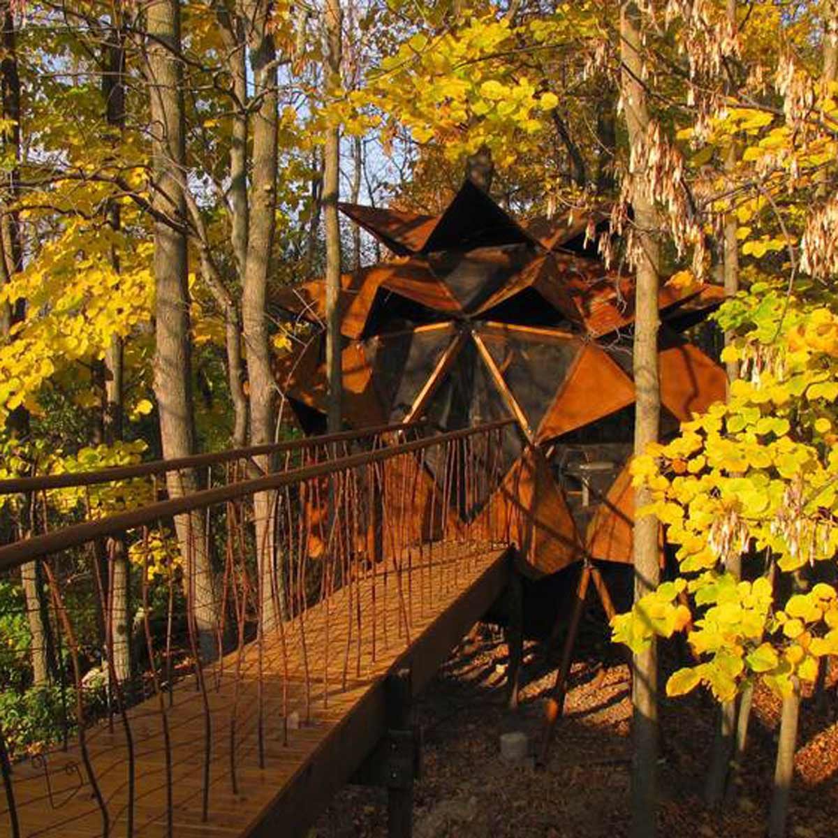 19 Stunning Treehouses That Resemble UFOs