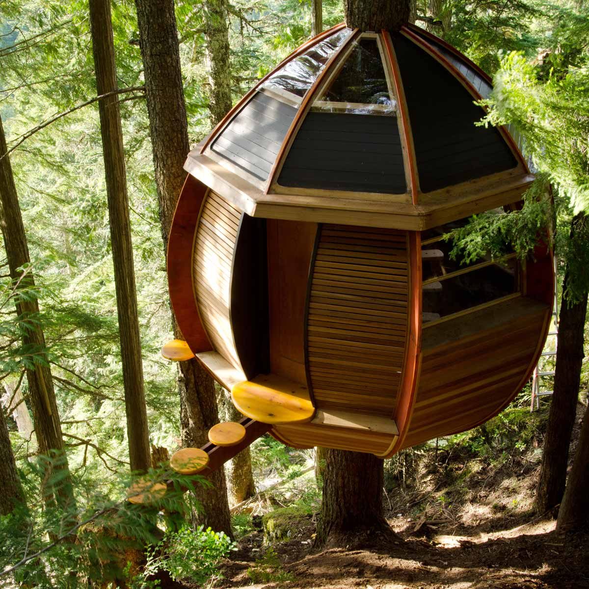 19 Stunning Treehouses That Resemble UFOs