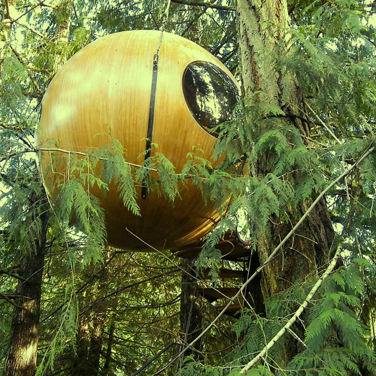 19 Stunning Treehouses That Resemble UFOs