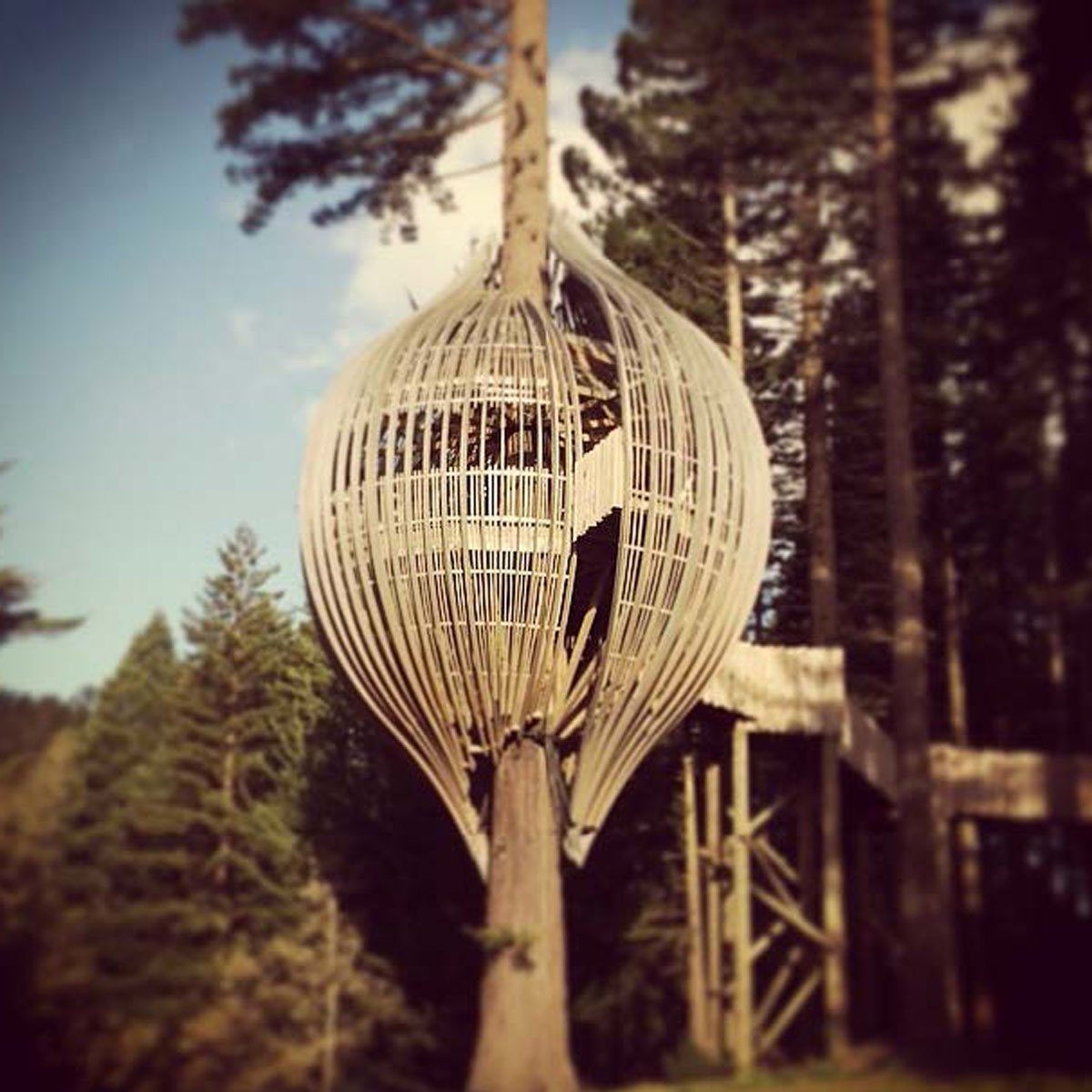 19 Stunning Treehouses That Resemble UFOs