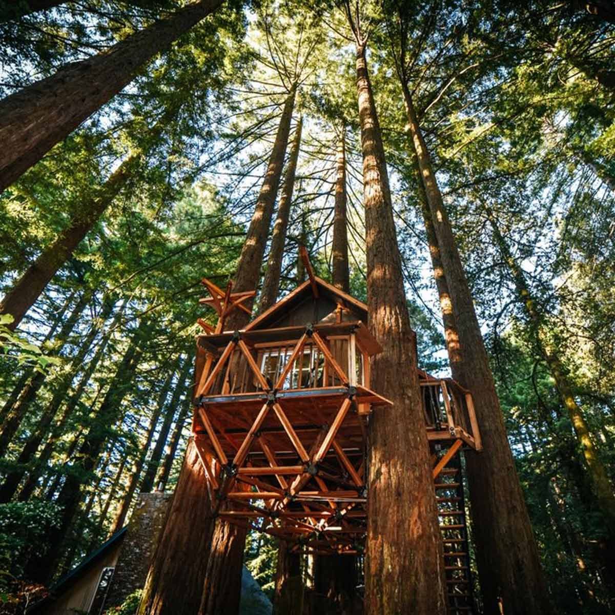 19 Stunning Treehouses That Resemble UFOs