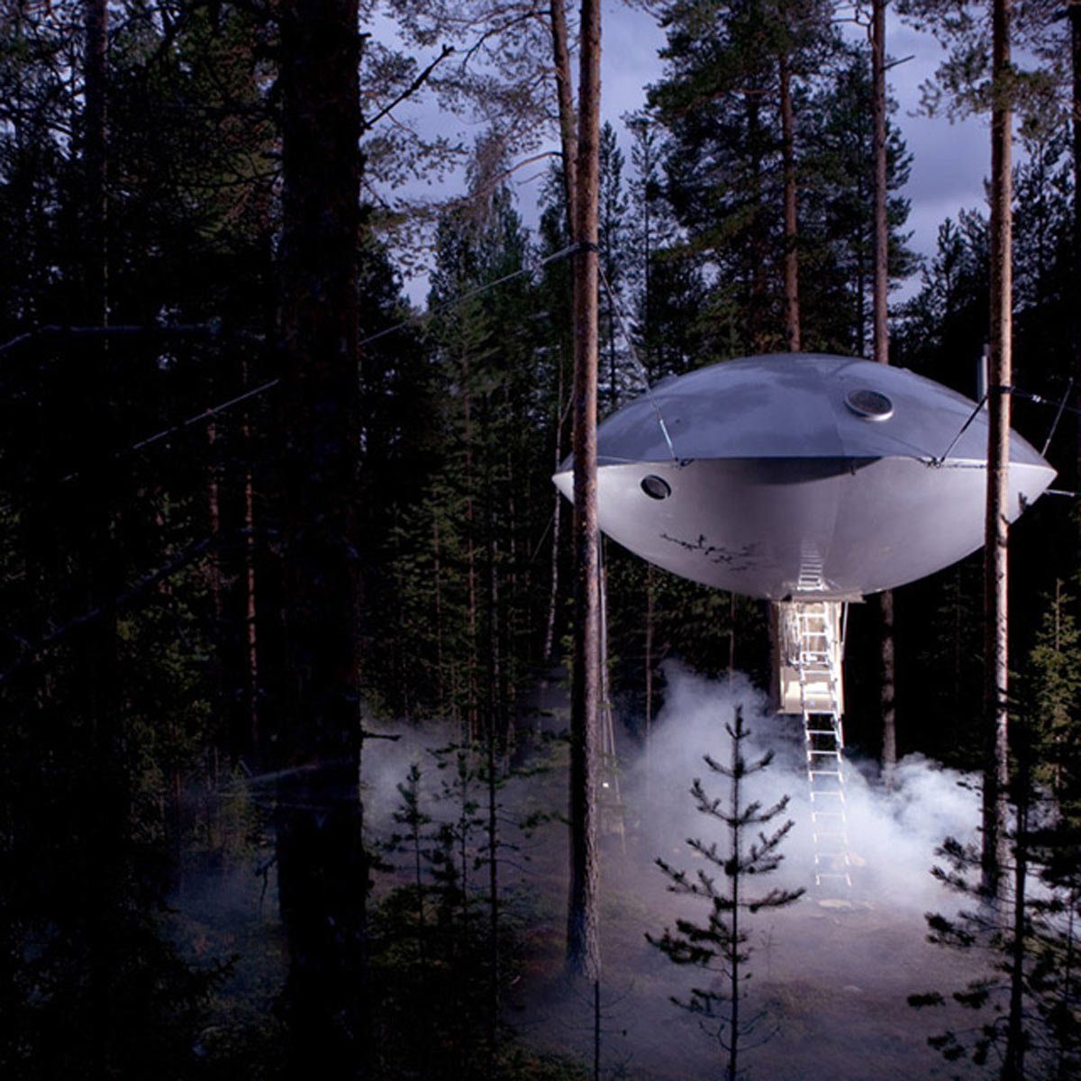 19 Stunning Treehouses That Resemble UFOs