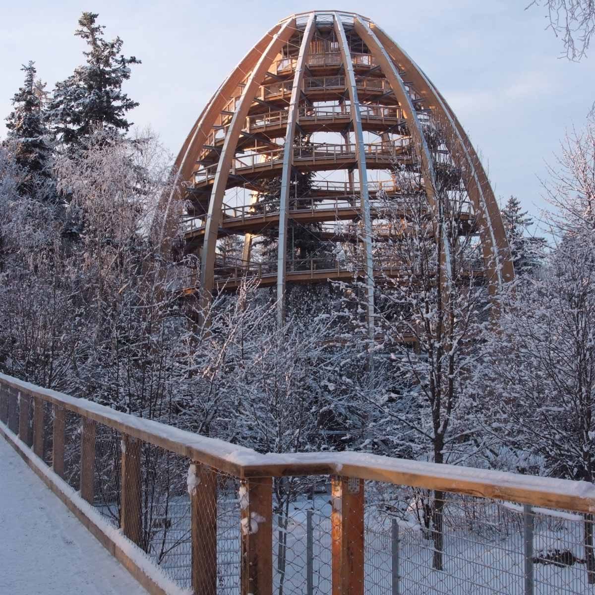 19 Stunning Treehouses That Resemble UFOs