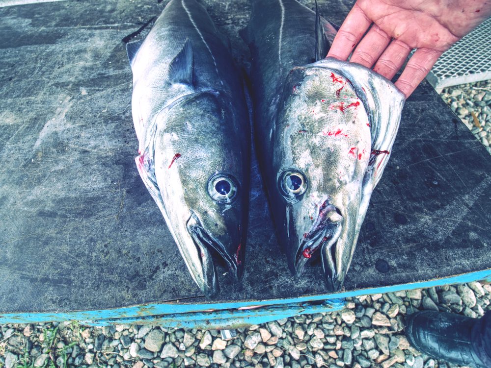 13 Unexpected Global Fines You Might Encounter While Traveling