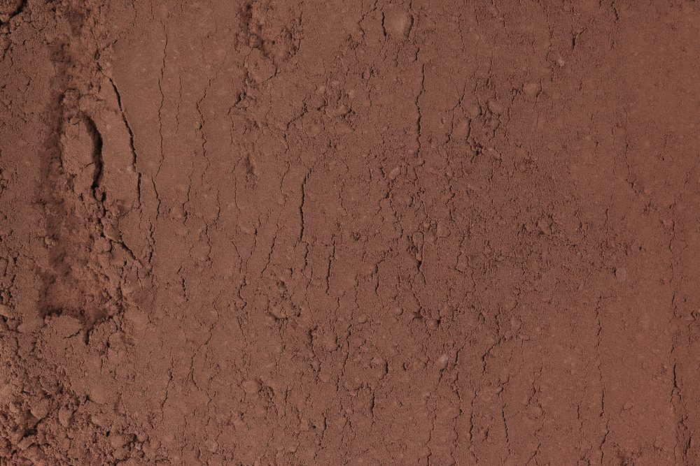 Explore 11 Accessible Candy Factories: Insider Tours & Behind‑the‑Scenes Sweets