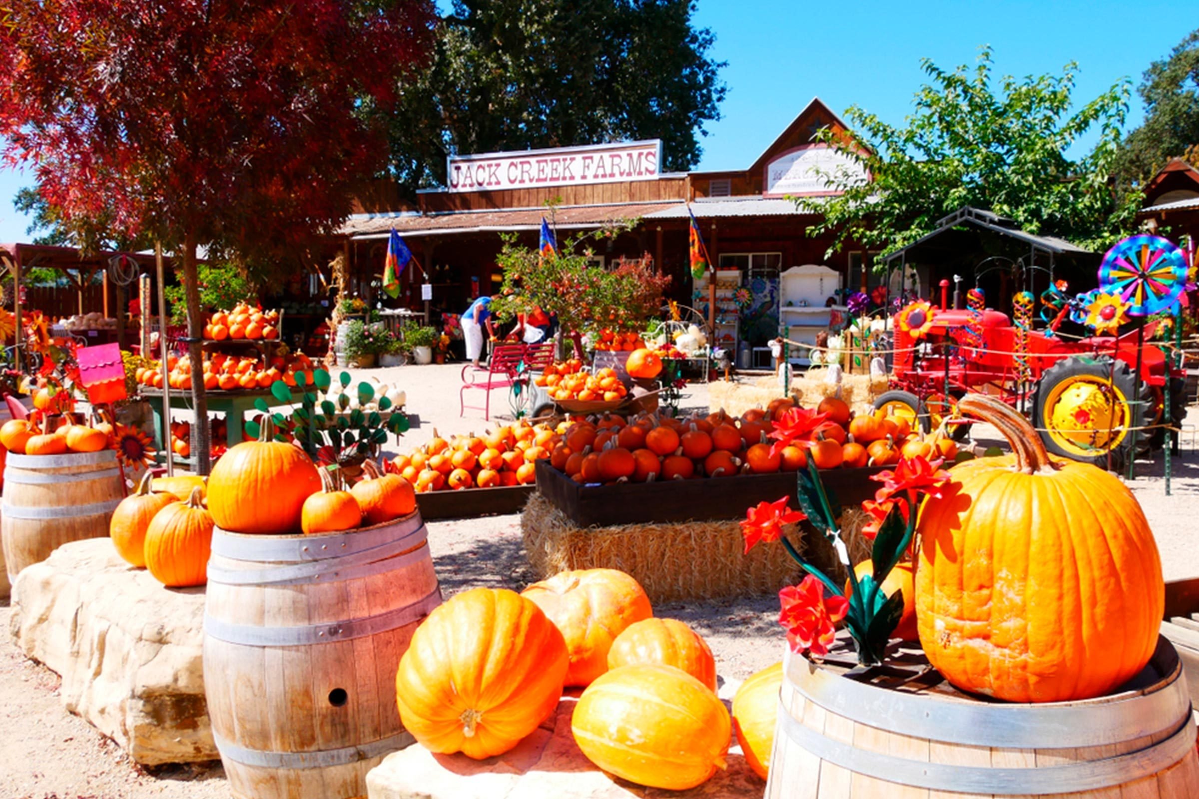 Top 15 U.S. Cities to Move to Now Before They Become Overcrowded