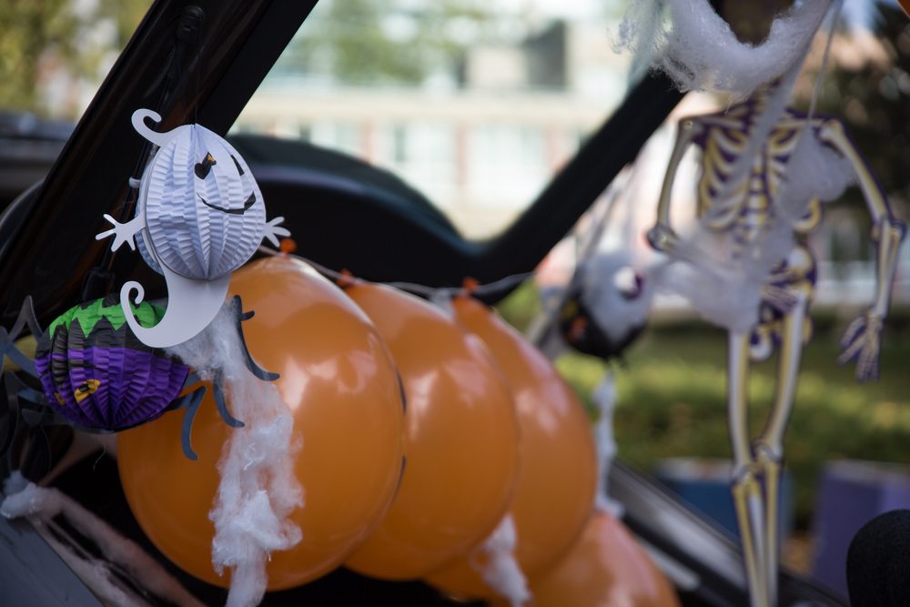 Top Autumn Activities Across All U.S. States