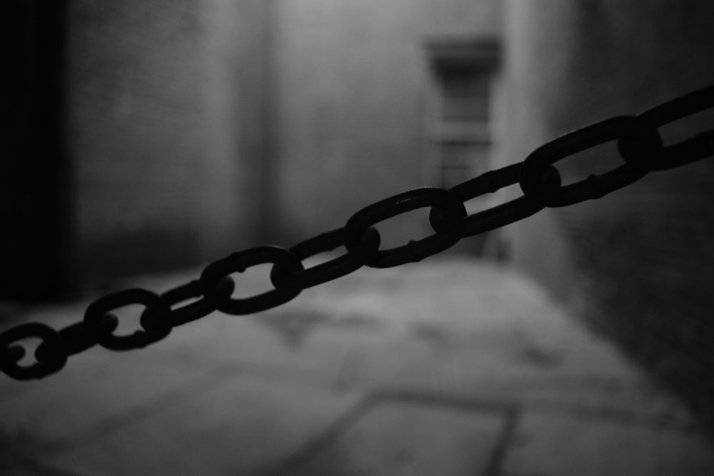 Top Autumn Activities Across All U.S. States