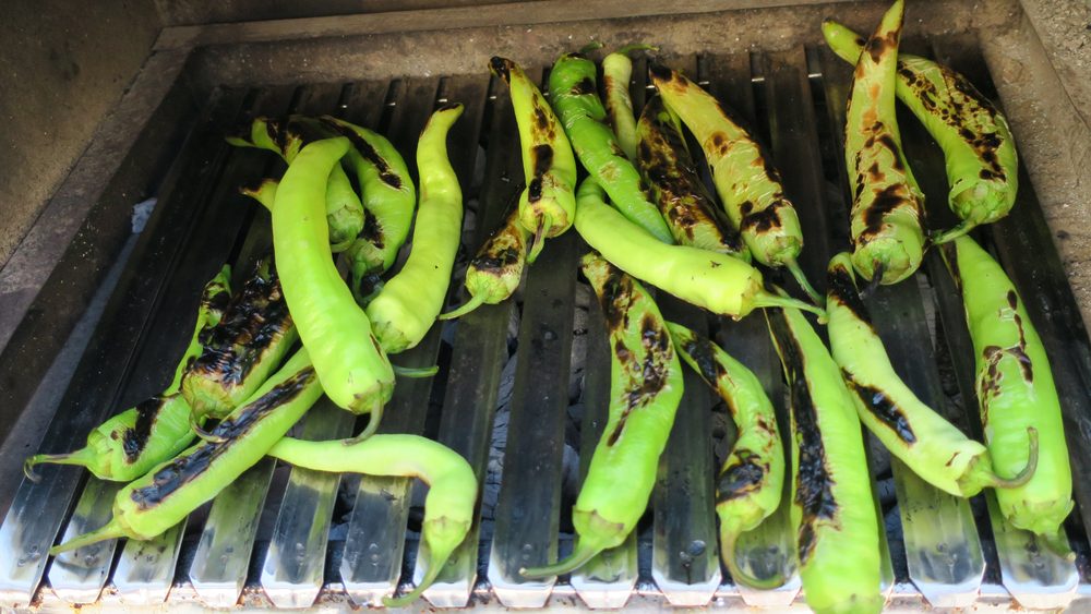 Top Autumn Activities Across All U.S. States