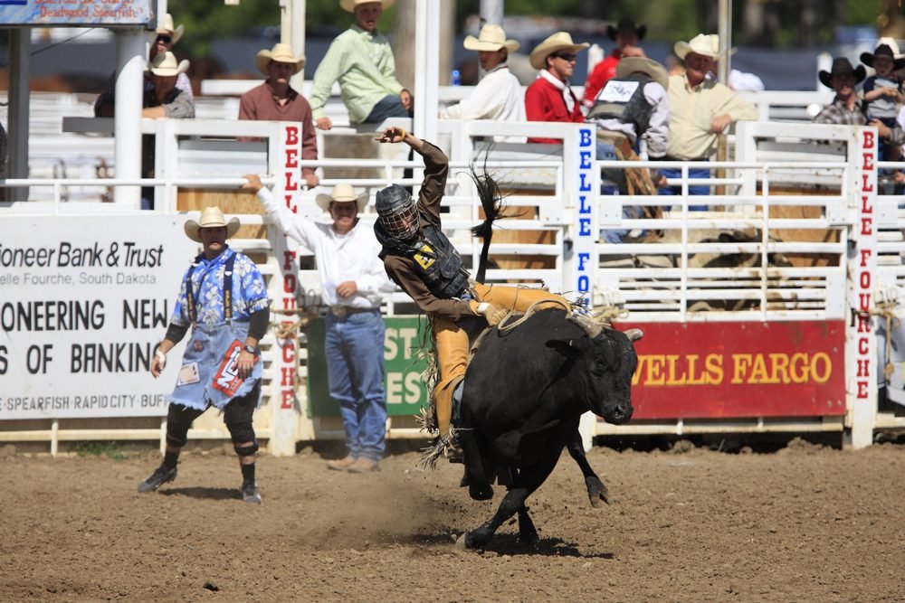 Top Autumn Activities Across All U.S. States