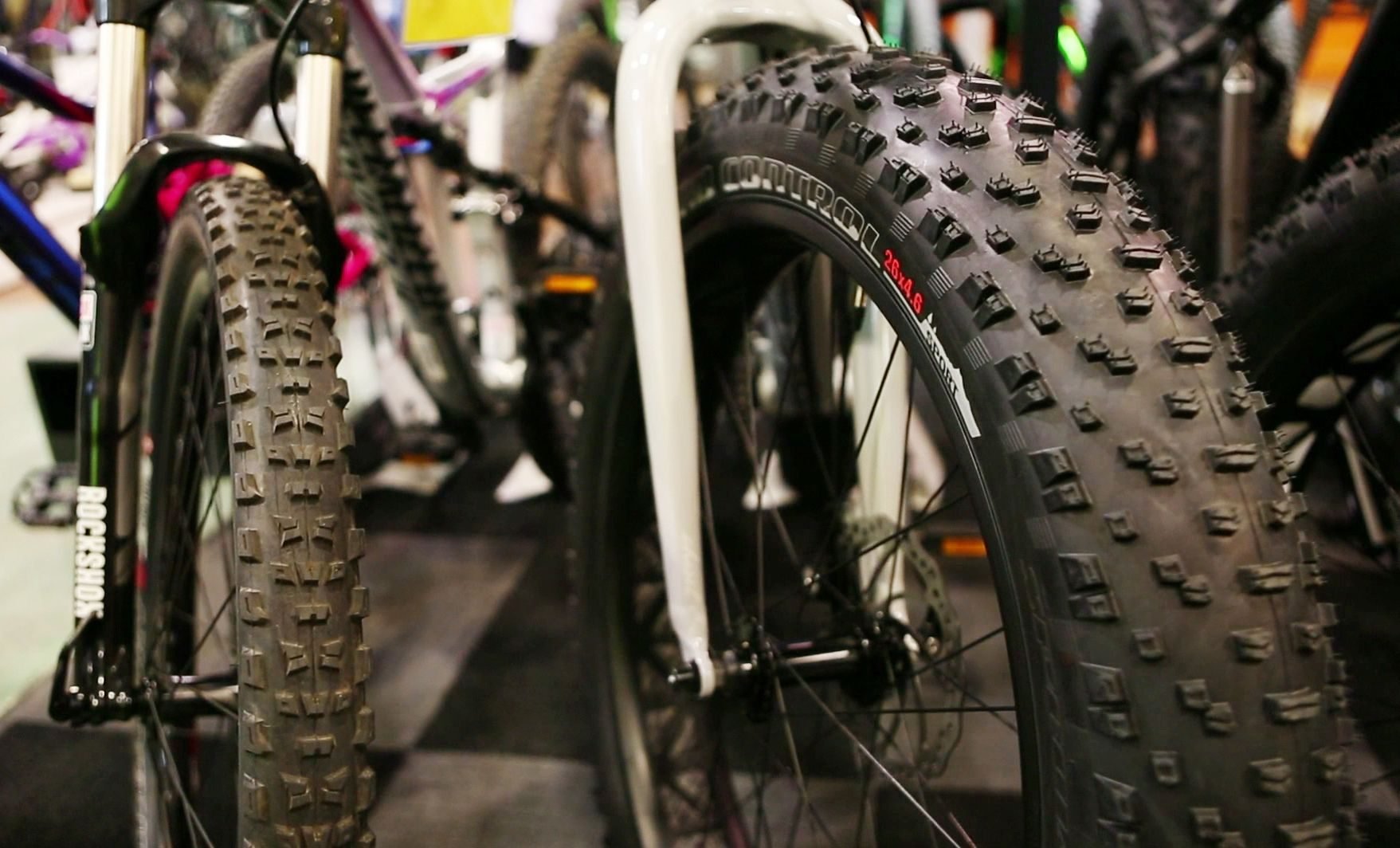 Top Autumn Activities Across All U.S. States