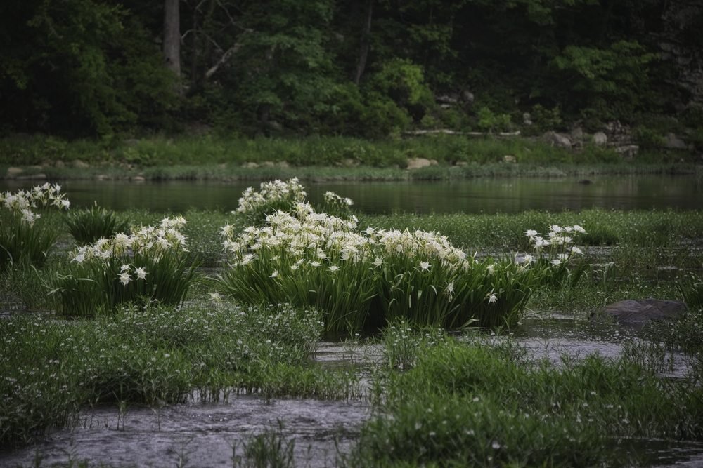 25 Real Ghost Towns That Will Leave You Spellbound