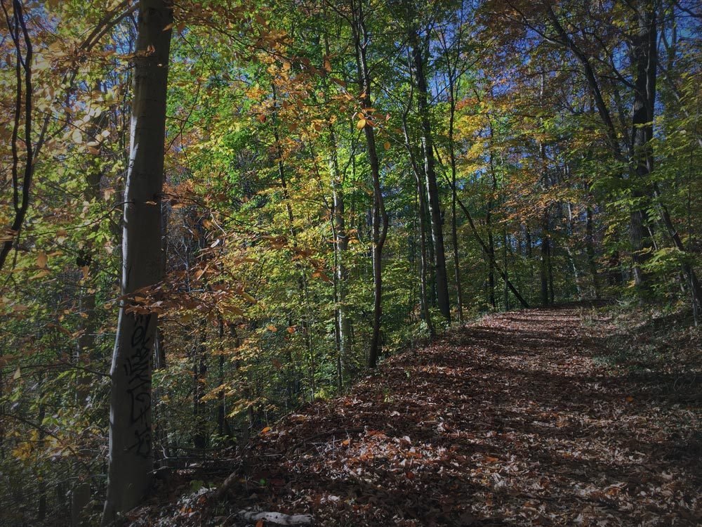25 Real Ghost Towns That Will Leave You Spellbound