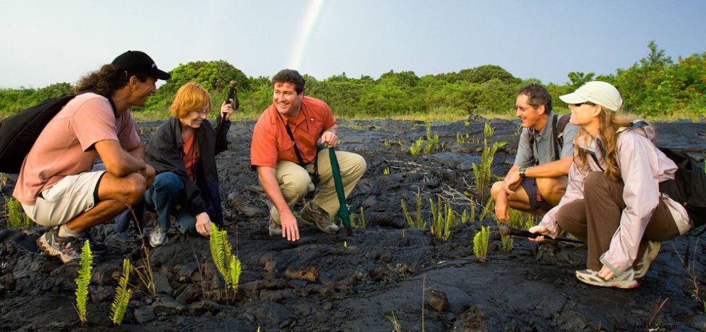 Explore the Hidden Gems of the Kona Coast – Authentic Tours & Adventure