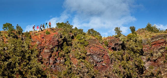 Explore the Hidden Gems of the Kona Coast – Authentic Tours & Adventure