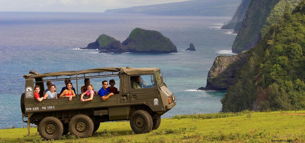 Explore the Hidden Gems of the Kona Coast – Authentic Tours & Adventure