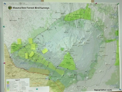 2018 Palila Survey on Mauna Kea: Results & Insights with Garry Dean