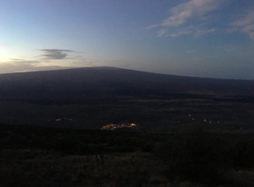 2018 Palila Survey on Mauna Kea: Results & Insights with Garry Dean