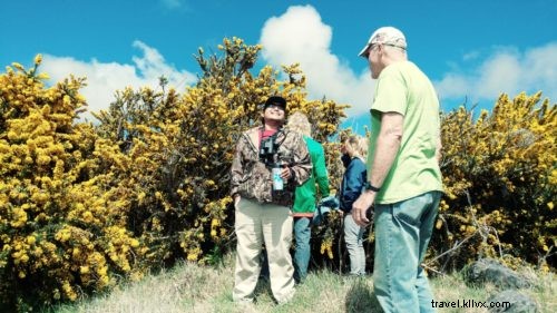 Seeking the Rare ʻiʻiwi: Julie Neuman s Journey Through Hakalau Wildlife Refuge