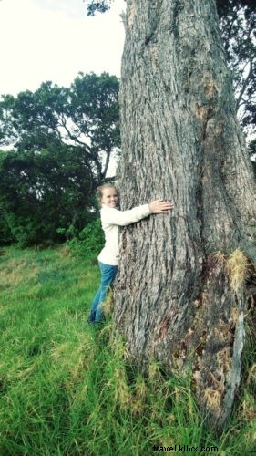 Seeking the Rare ʻiʻiwi: Julie Neuman s Journey Through Hakalau Wildlife Refuge