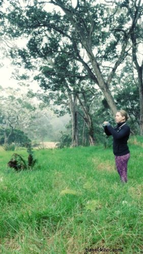 Seeking the Rare ʻiʻiwi: Julie Neuman s Journey Through Hakalau Wildlife Refuge