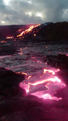 Moths, Spiders, and Lava: Nature’s Light‑Drawn Dance