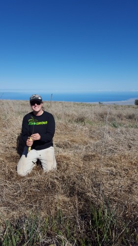 Mauna Kea Forest Restoration Initiative: Revitalizing Ecosystems for a Sustainable Future