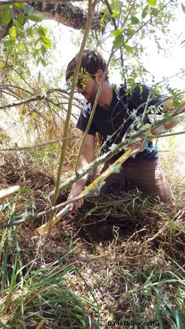 Volunteering on Mauna Kea: A Trusted Guide to Impactful Service