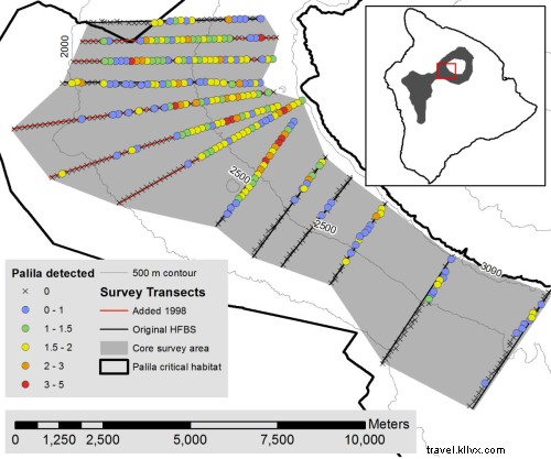 Annual Palila Census: A Collaborative Conservation Effort
