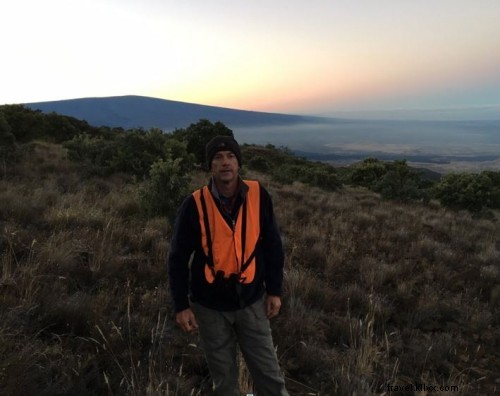 Annual Palila Census: A Collaborative Conservation Effort