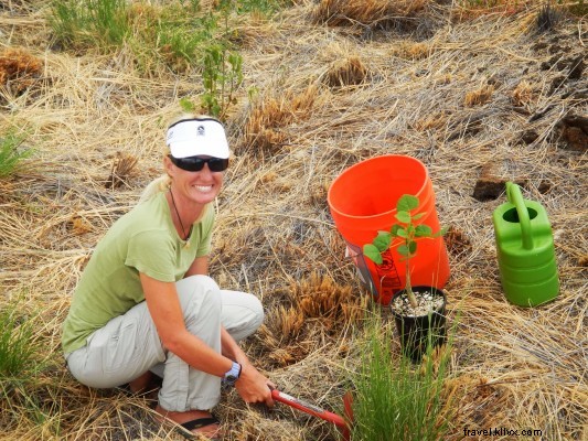 Exploring Bloomin’ Wiliwili: A Journey Through Hawaii’s Resilient Native Trees