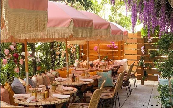 Miami s Most Photogenic Spots: A Guide to Instagram-Worthy Scenes