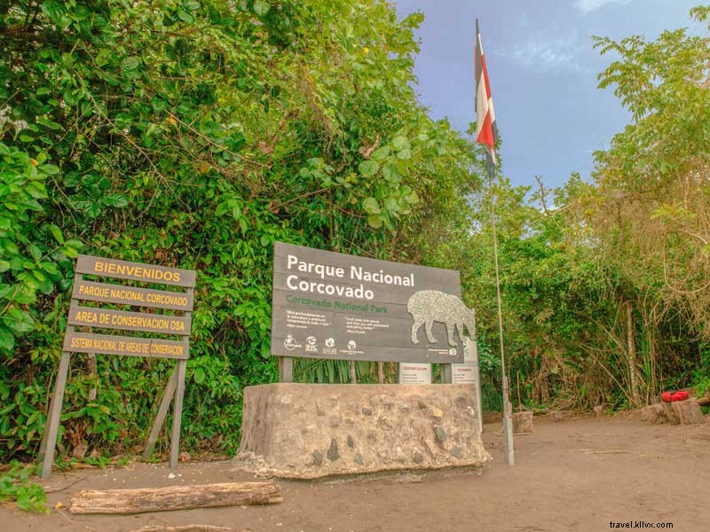 Corcovado National Park: Explore Central America’s Last Untouched Ecosystem